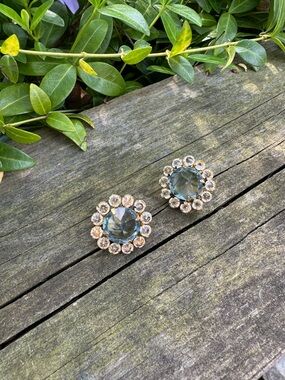 Schreiner Crystal Earrings